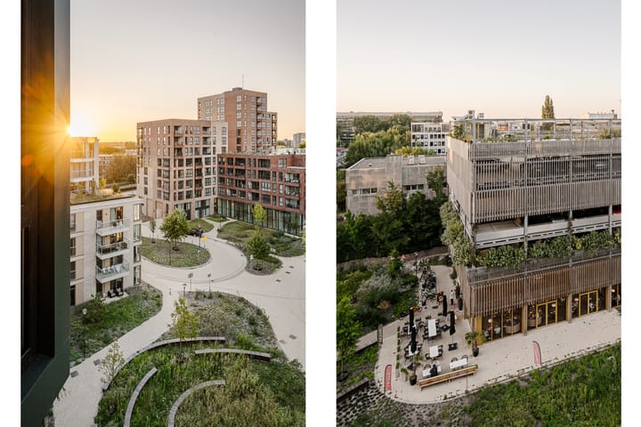 Photo 54 of Surinamepad 118