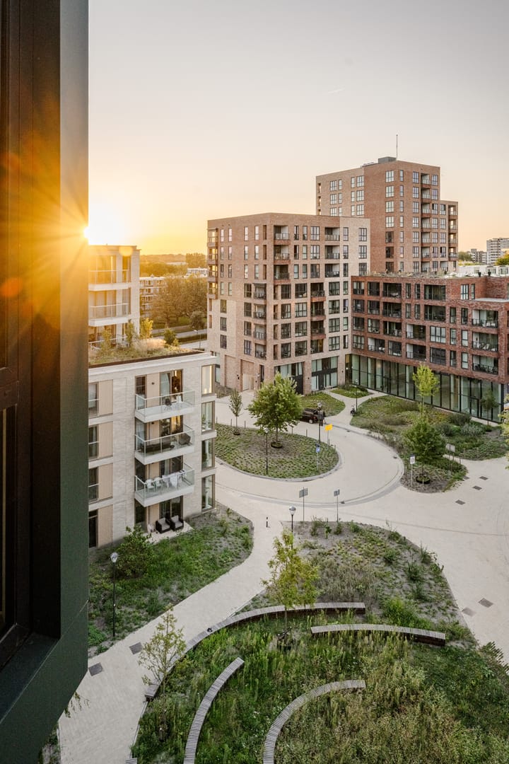 Photo 55 of Surinamepad 118