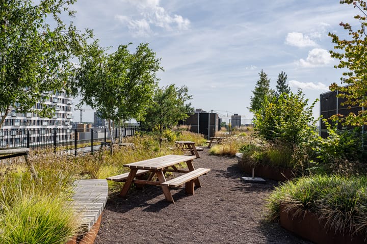 Photo 64 of Surinamepad 118