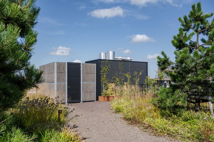 Photo 68 of Surinamepad 118