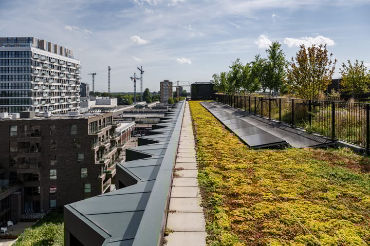 Photo 69 of Surinamepad 118