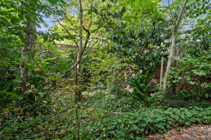 Foto 40 van Taalstraat 29