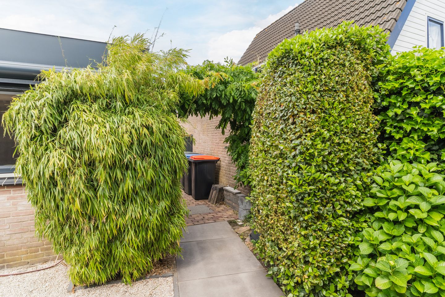 Photo 49 of Bandeliersberg 22