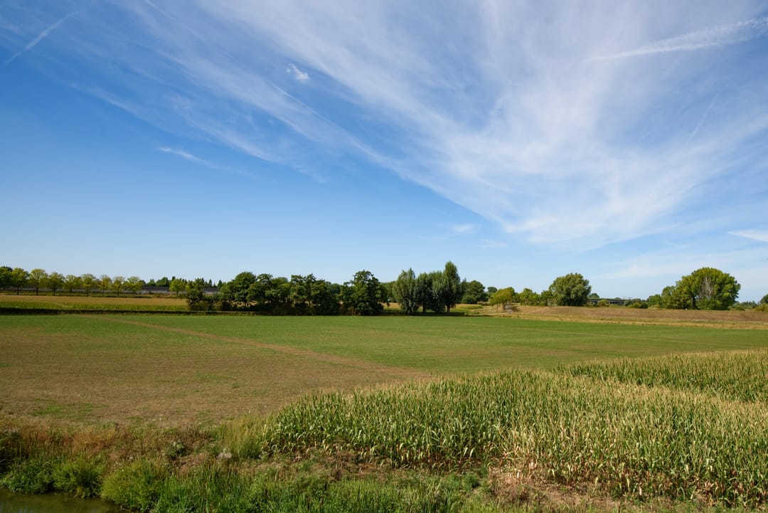 Photo 28 of Veldpad 5