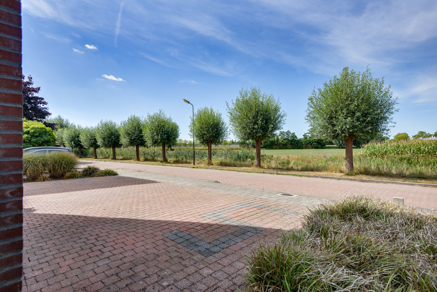 Photo 40 of Veldpad 5