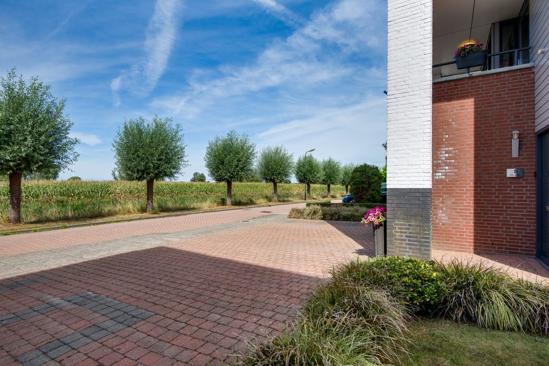 Photo 41 of Veldpad 5