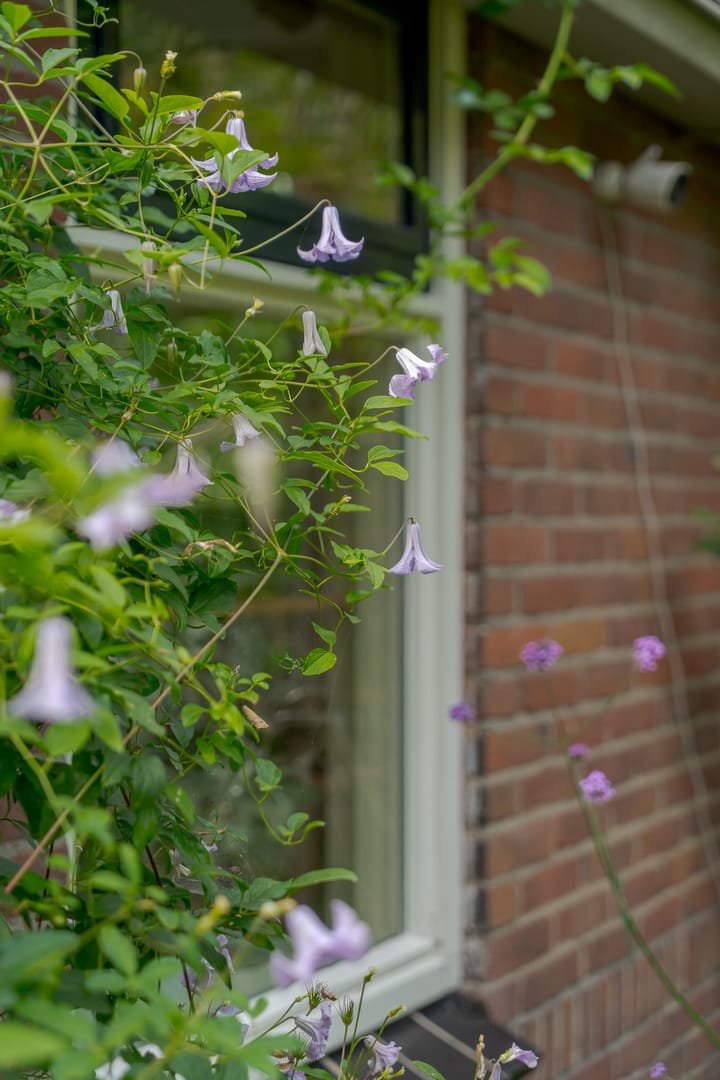 Foto 14 van van Echtenswijk 10