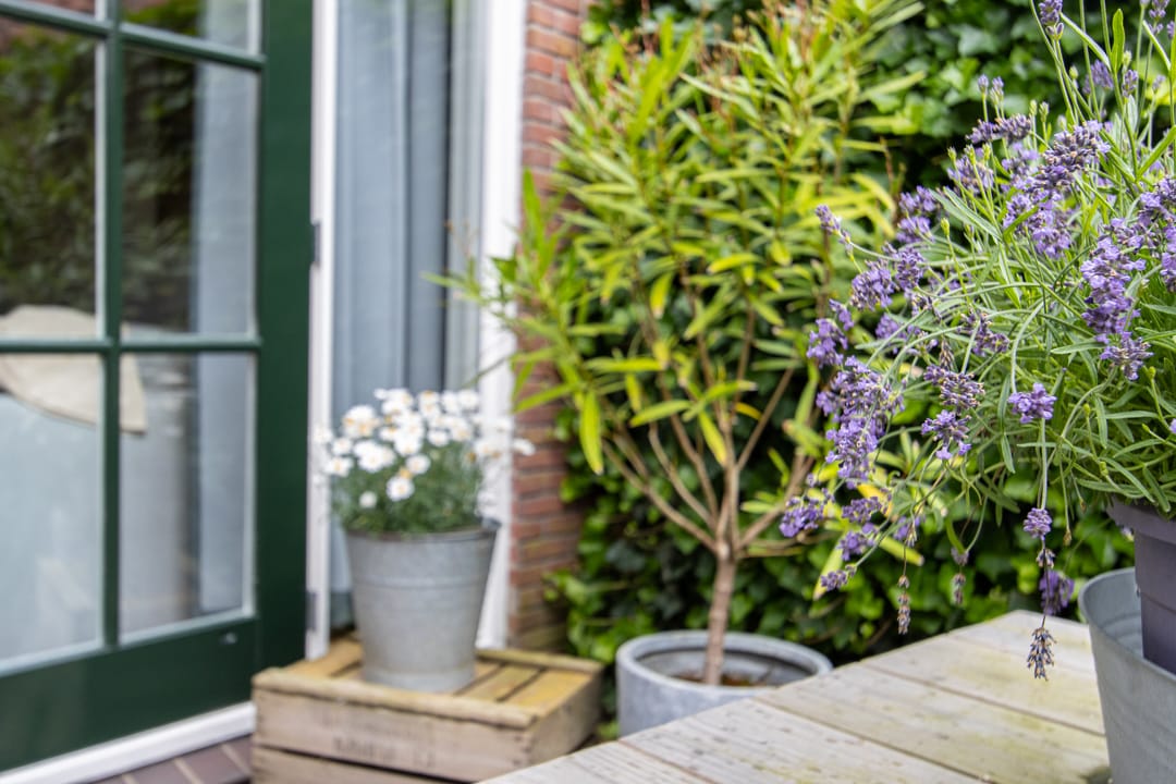 Foto 61 van L Verdoornstraat 1