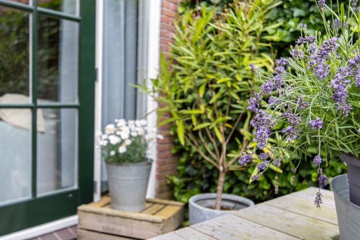 Foto 61 van L Verdoornstraat 1