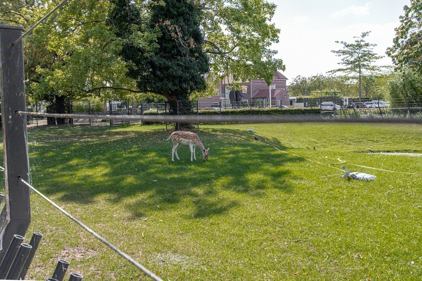 Foto 70 van L Verdoornstraat 1