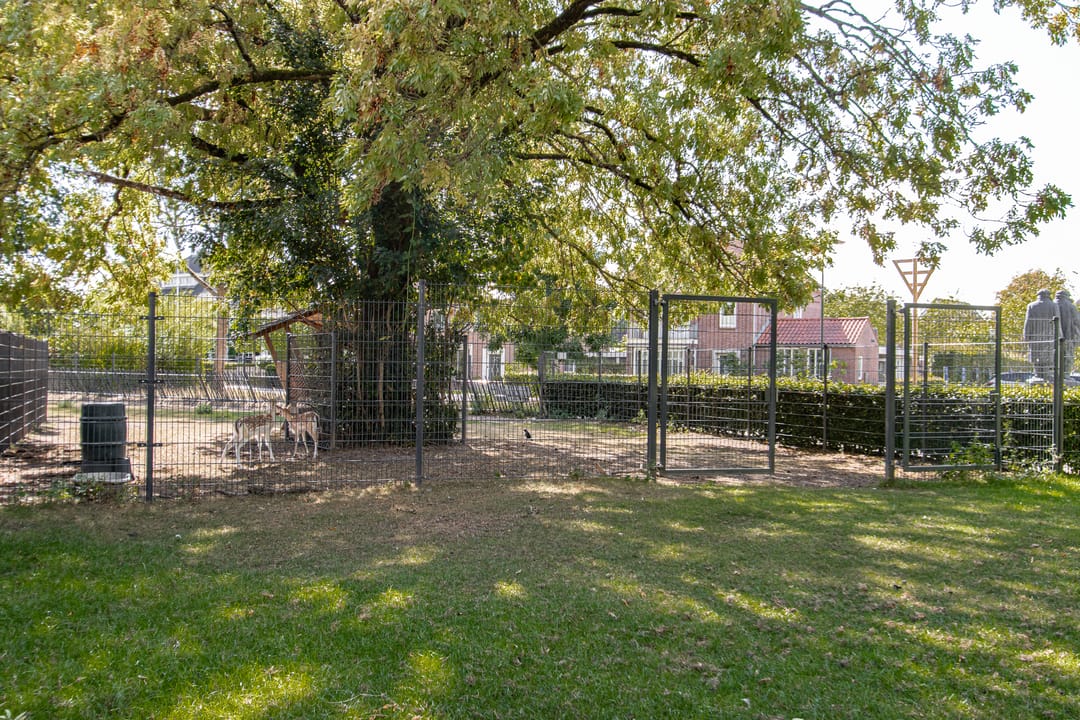 Foto 71 van L Verdoornstraat 1