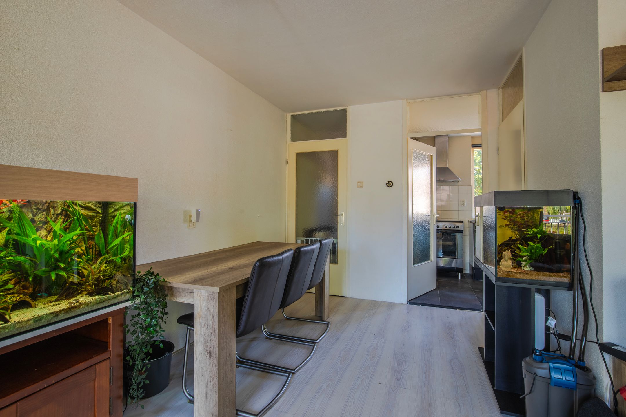 Foto 12 van 't Biezenweitje 13