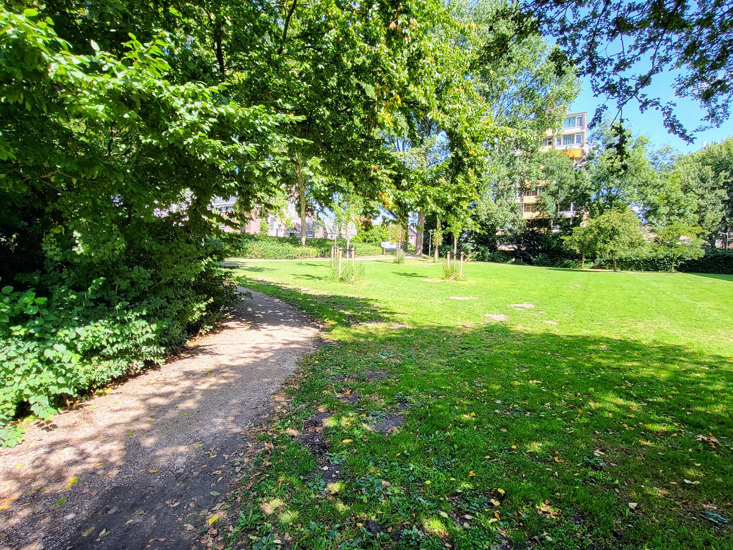 Foto 19 van Populierenlaan 167