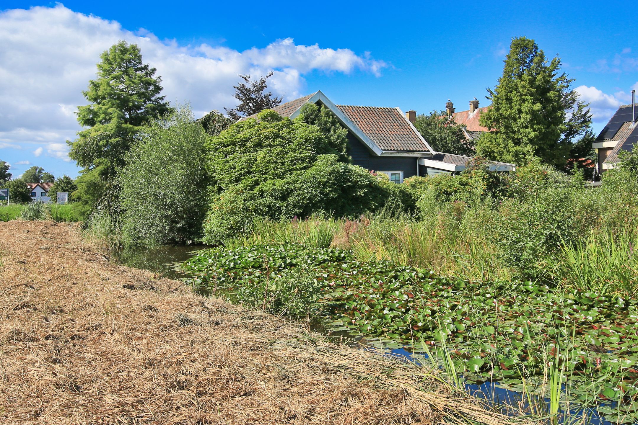 Photo 21 of Osdorperweg 632
