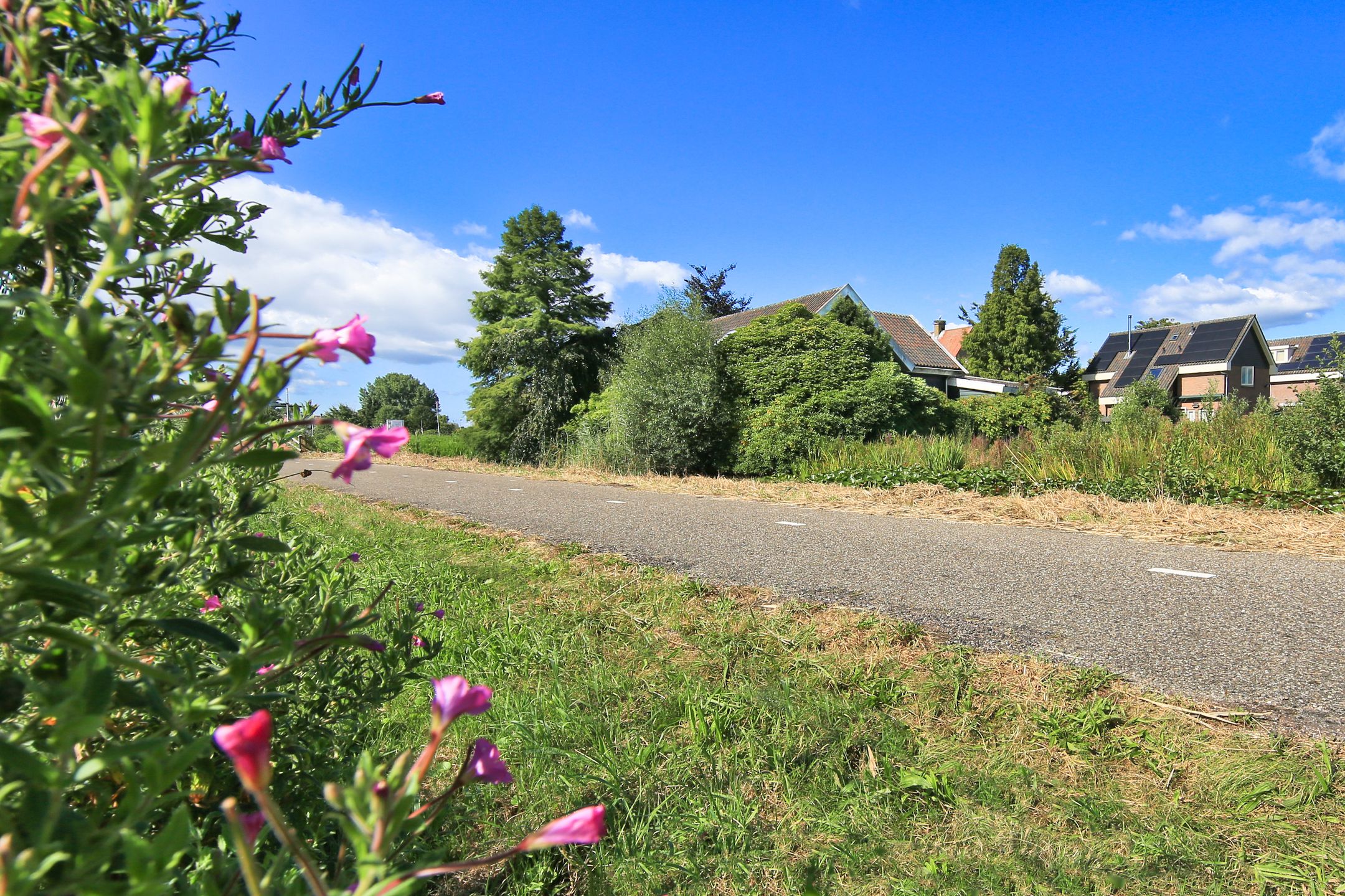 Photo 24 of Osdorperweg 632