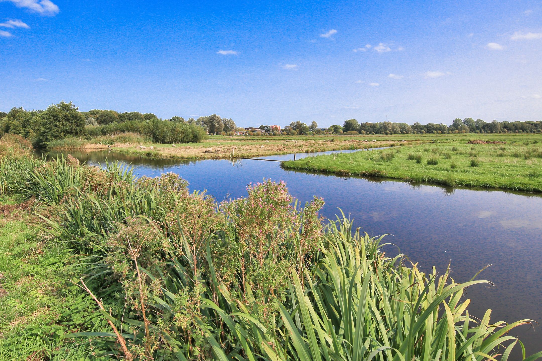 Photo 27 of Osdorperweg 632