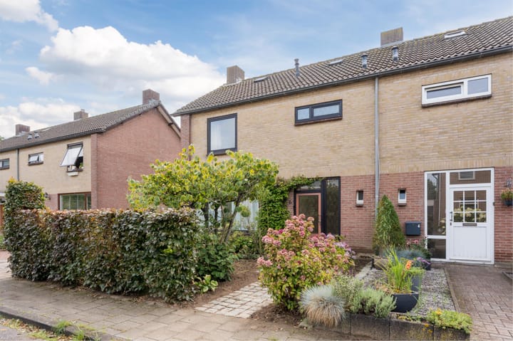 Foto 41 van Meeuwenstraat 6