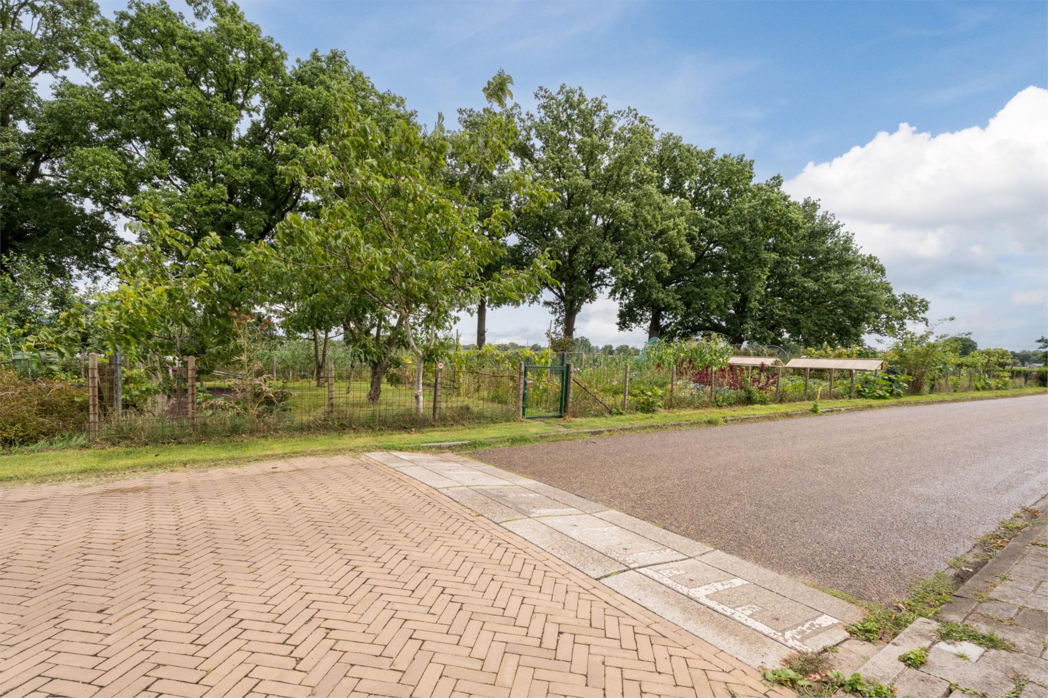 Foto 48 van Meeuwenstraat 6