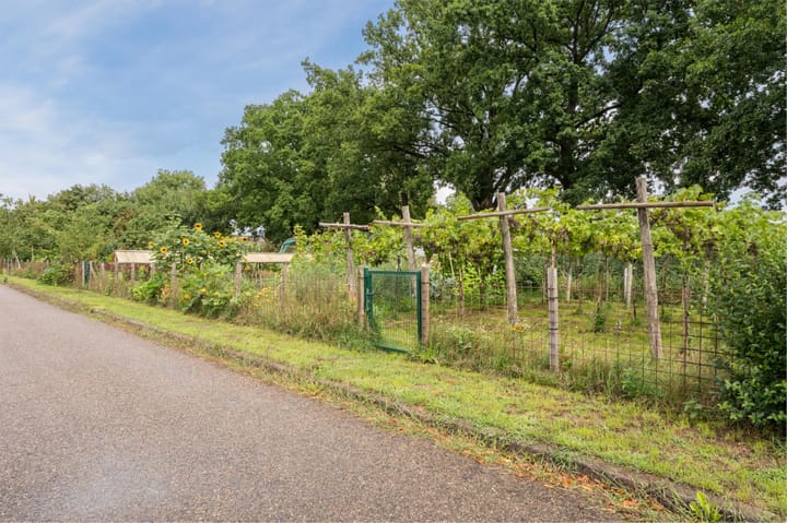 Foto 49 van Meeuwenstraat 6