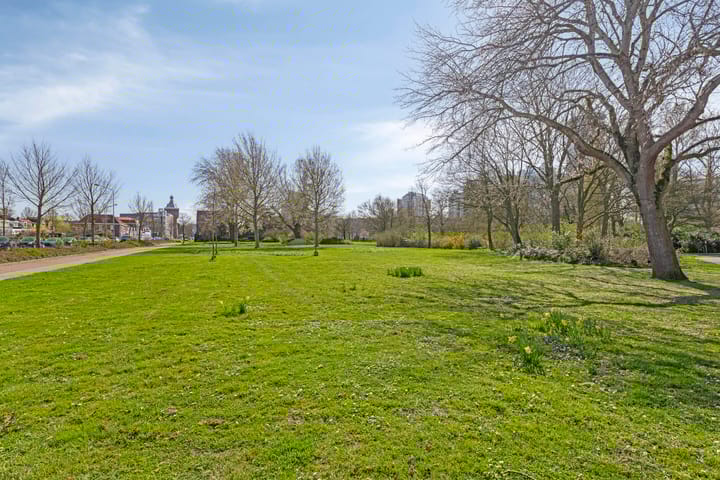 Photo 46 of Duijvendrechtstraat 27