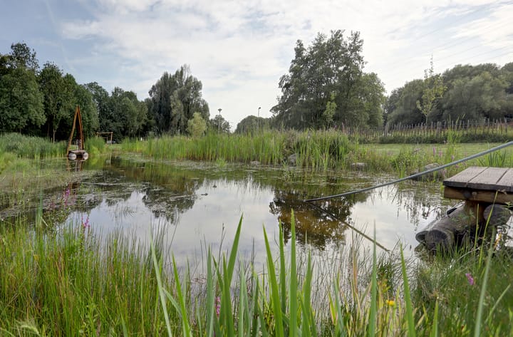 Foto 30 van Malvert 6915