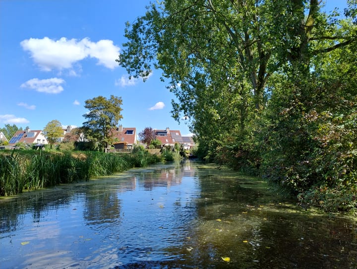 Photo 52 of Westlake 13