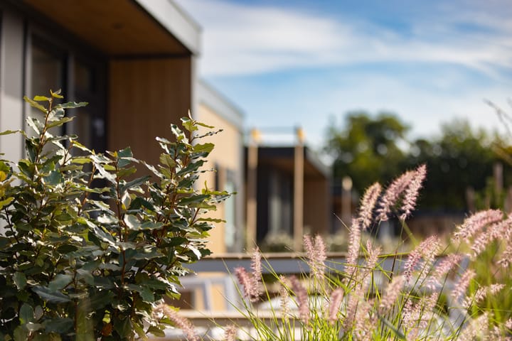 Photo 3 of Duynhof 2