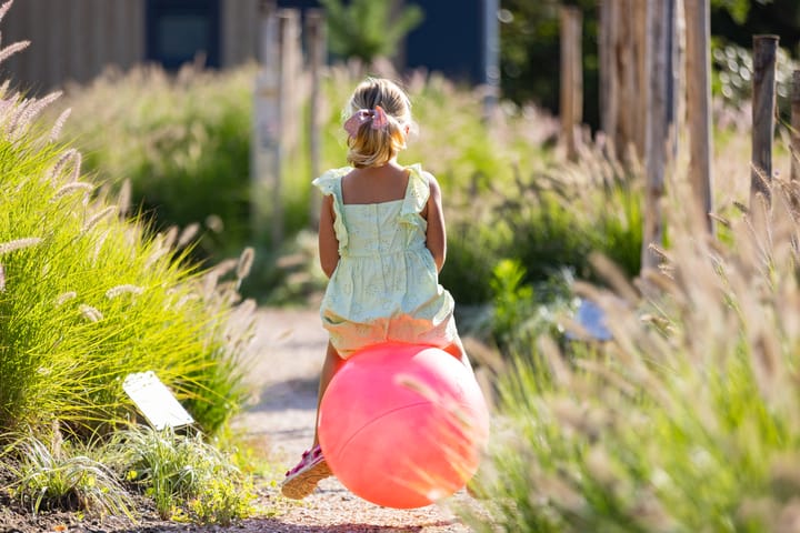 Photo 4 of Duynhof 2