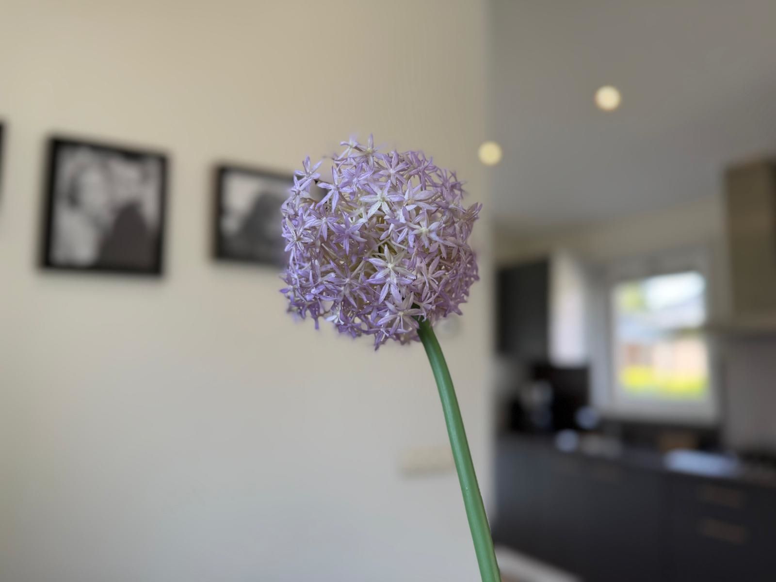 Photo 9 of Spijkweg 15-A219