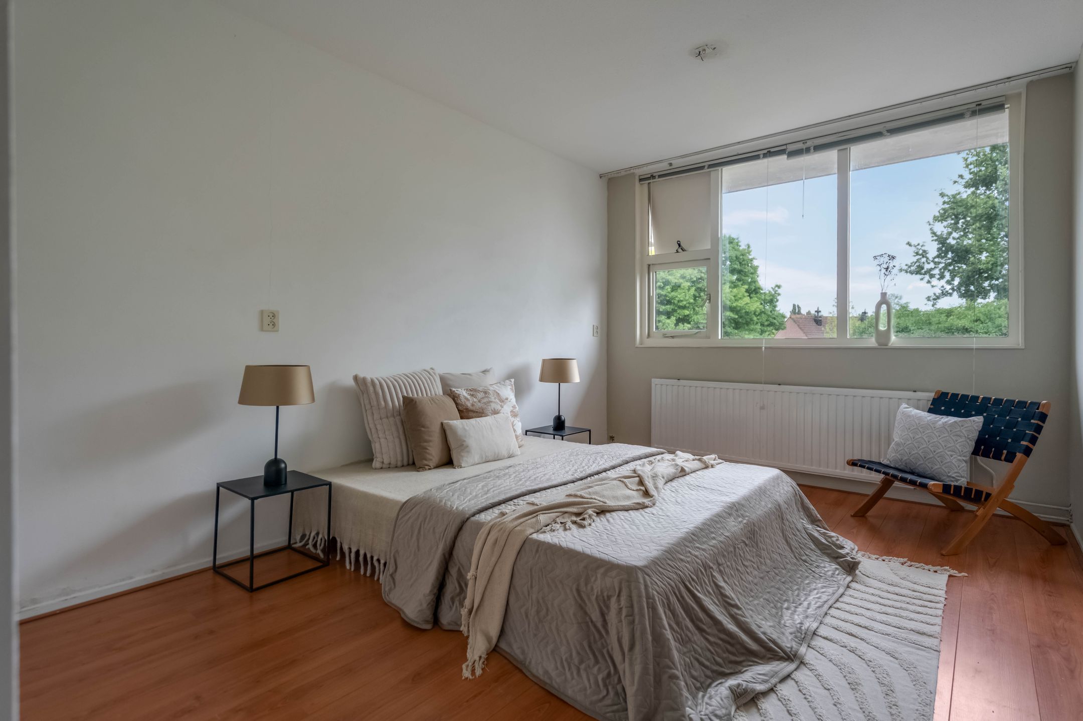 Photo 3 of Vingerhoedskruid 38