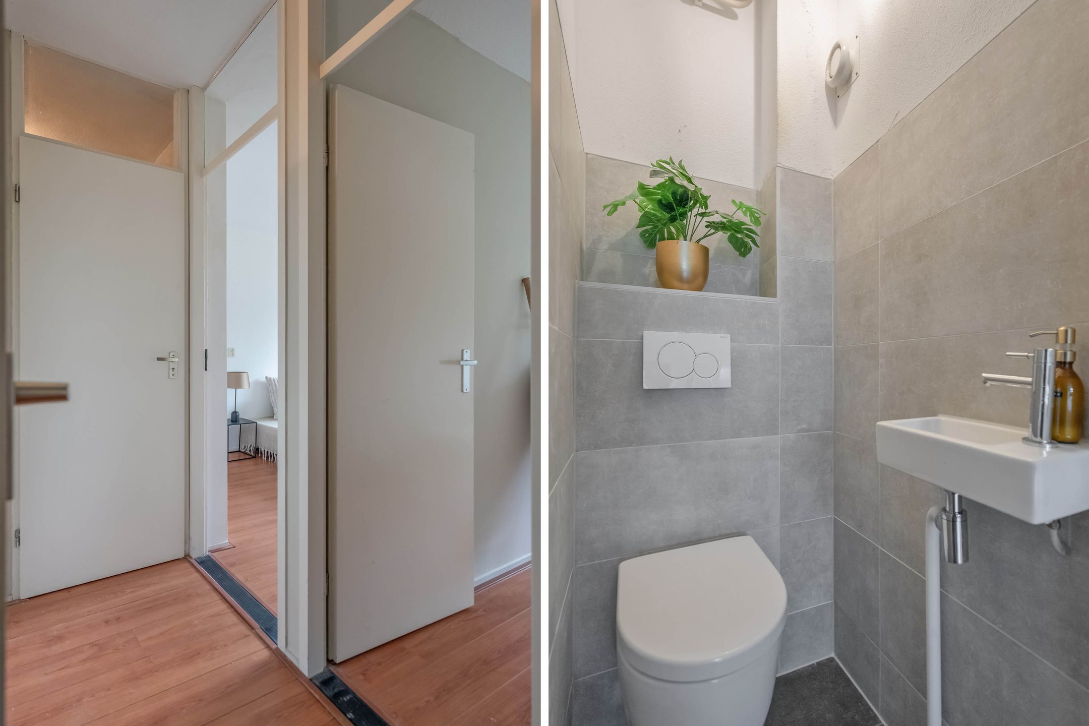 Photo 6 of Vingerhoedskruid 38