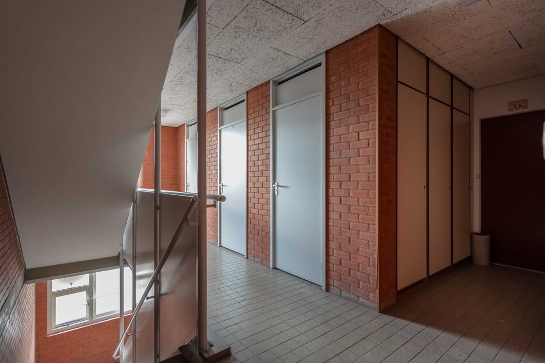 Photo 8 of Vingerhoedskruid 38