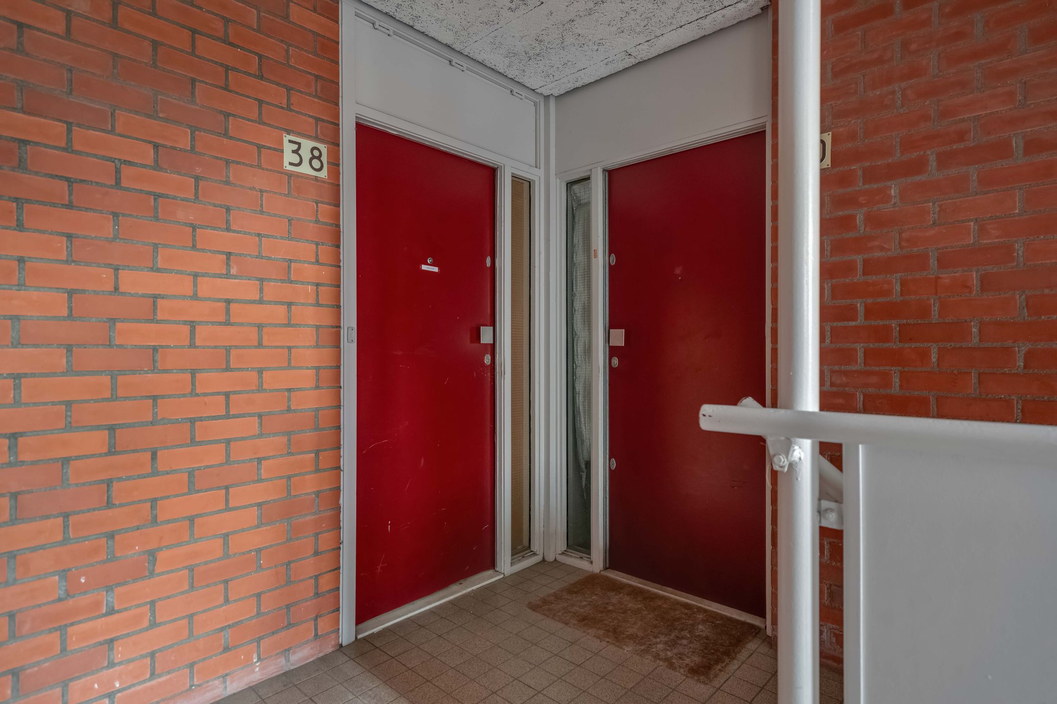 Photo 9 of Vingerhoedskruid 38