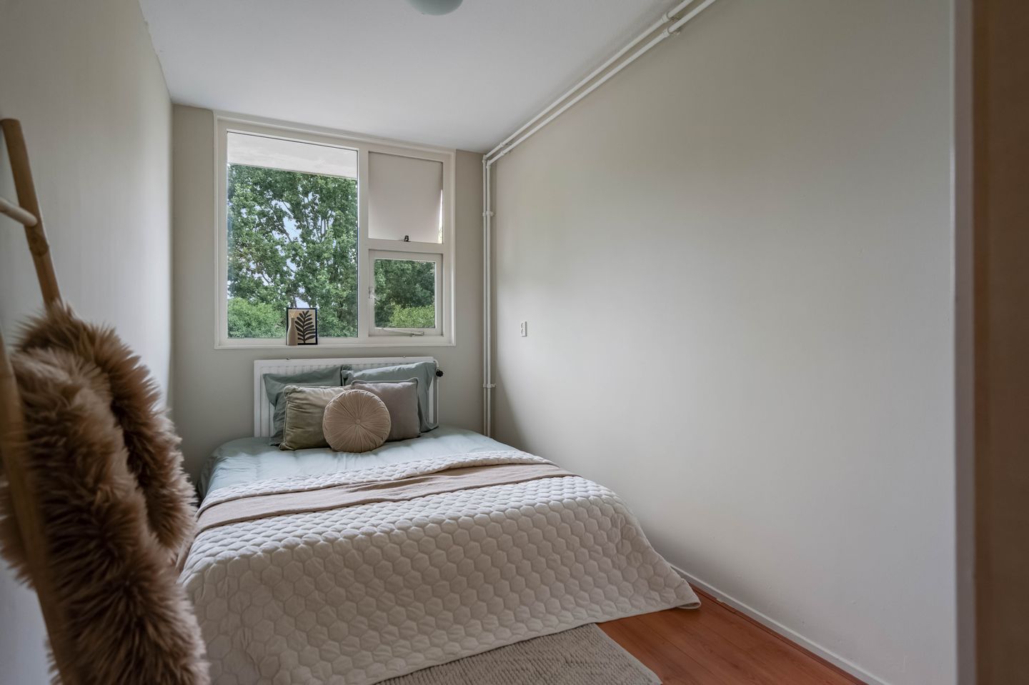 Photo 20 of Vingerhoedskruid 38