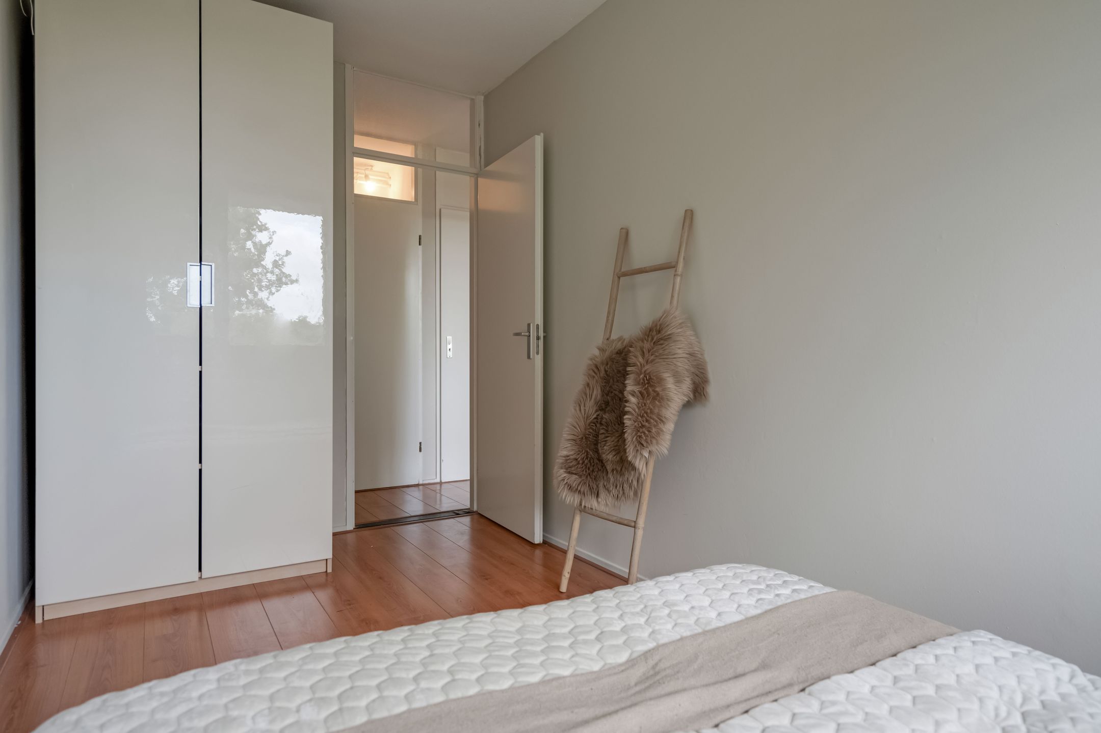 Photo 21 of Vingerhoedskruid 38