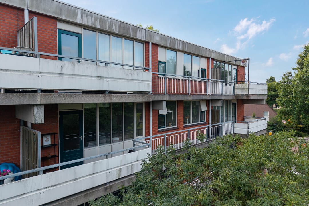 Photo 32 of Vingerhoedskruid 38