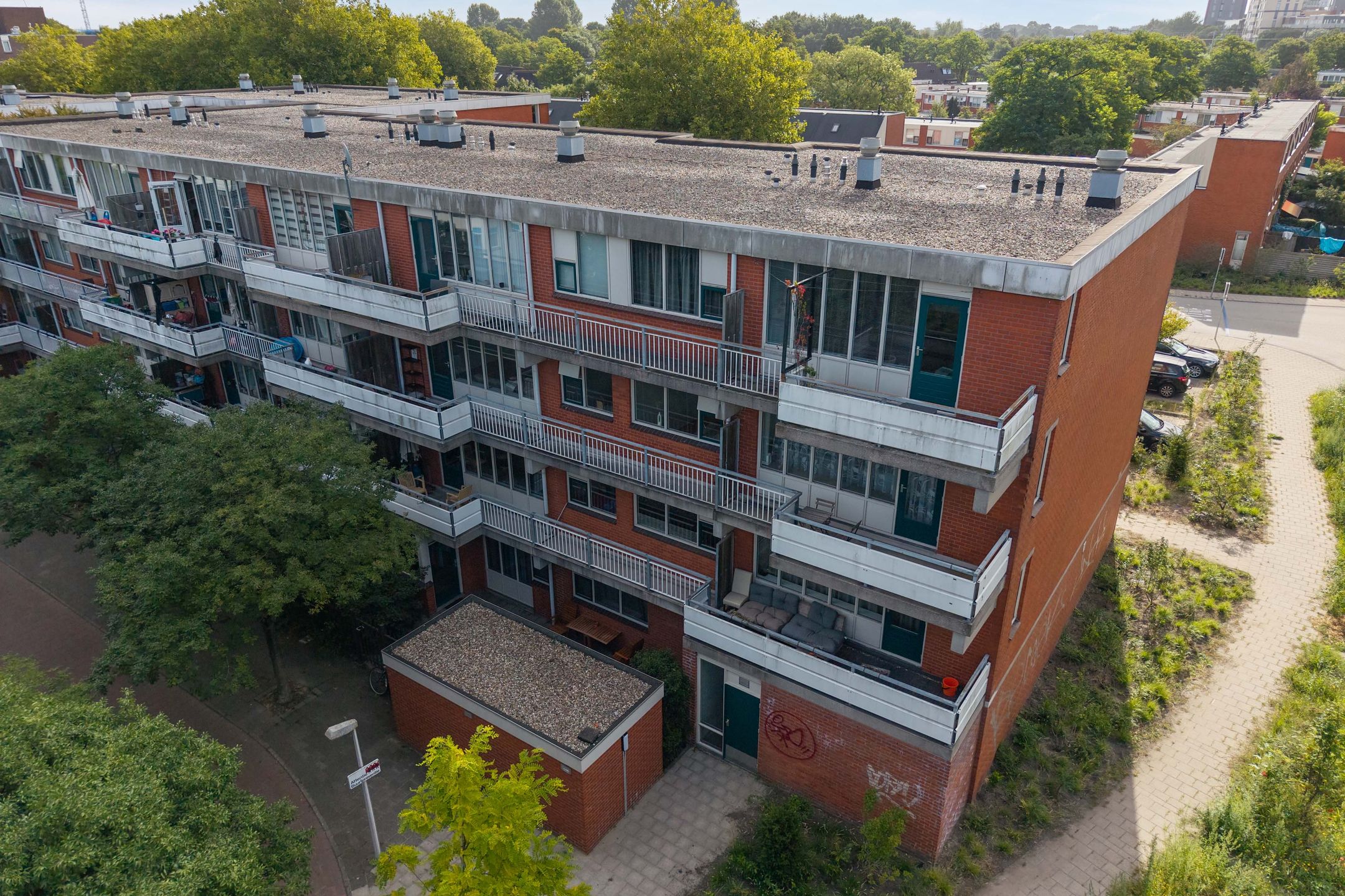 Photo 30 of Vingerhoedskruid 38