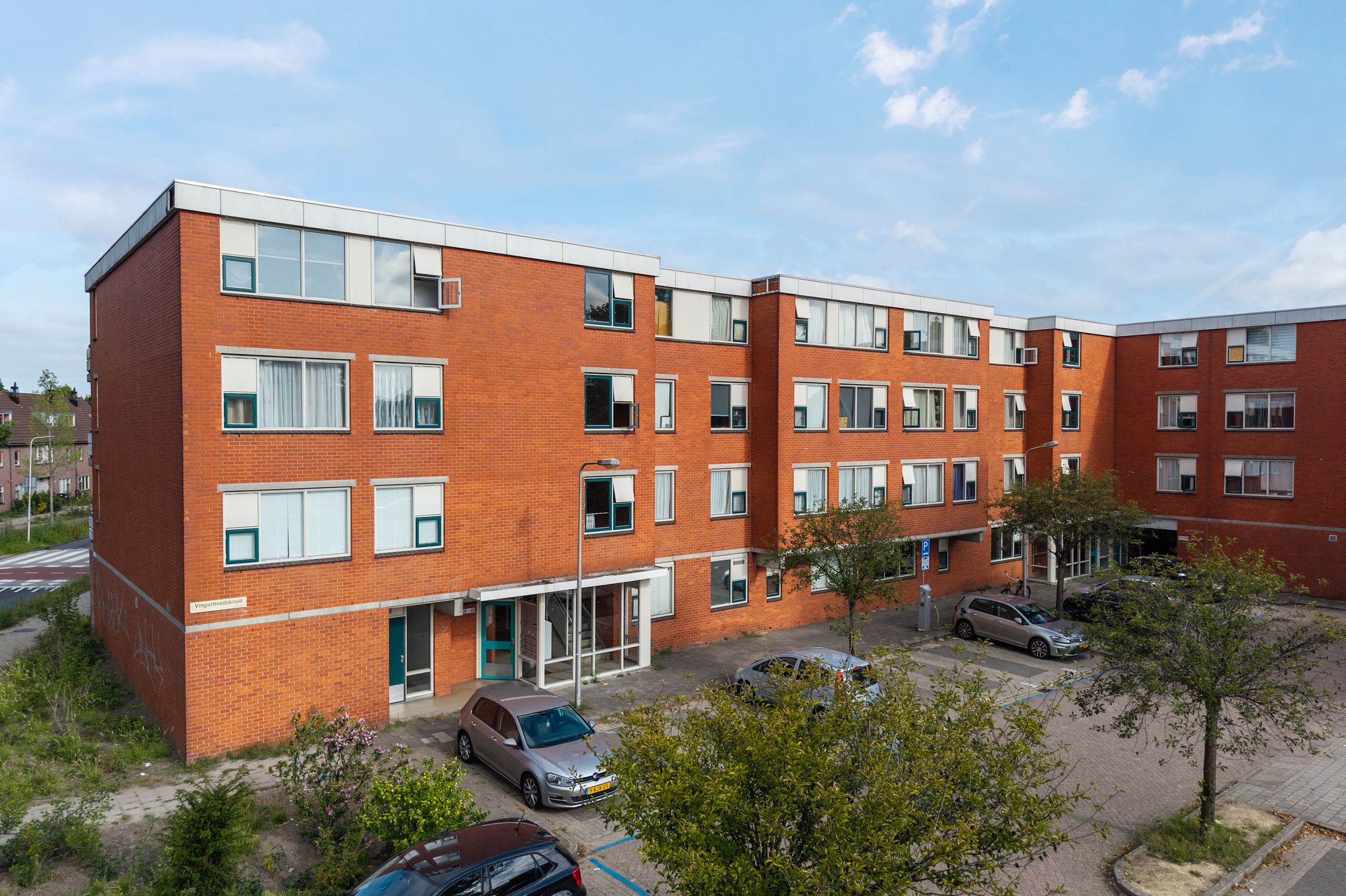 Photo 33 of Vingerhoedskruid 38