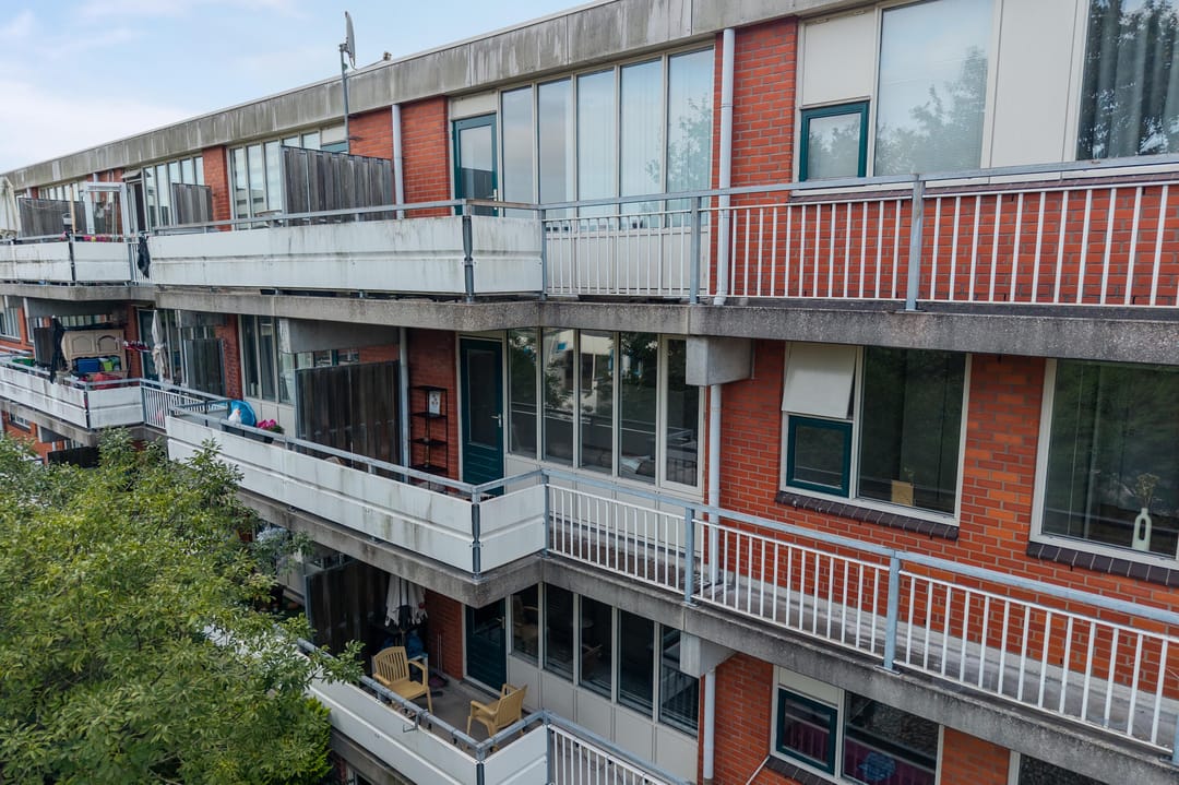 Photo 31 of Vingerhoedskruid 38