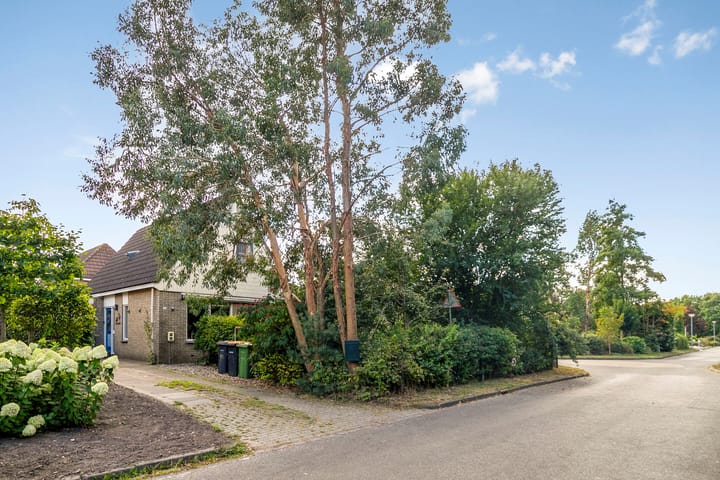 Photo 31 of Butenweg 10