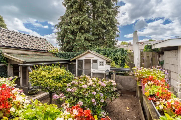 Photo 44 of De Savornin Lohmanlaan 51