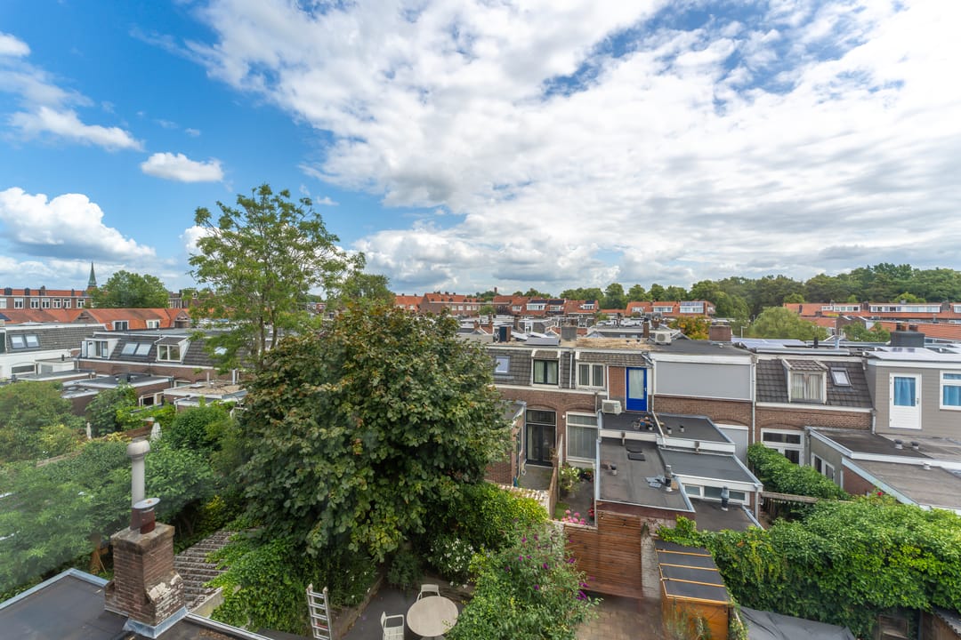 Photo 31 of Adriaen van Ostadelaan 86