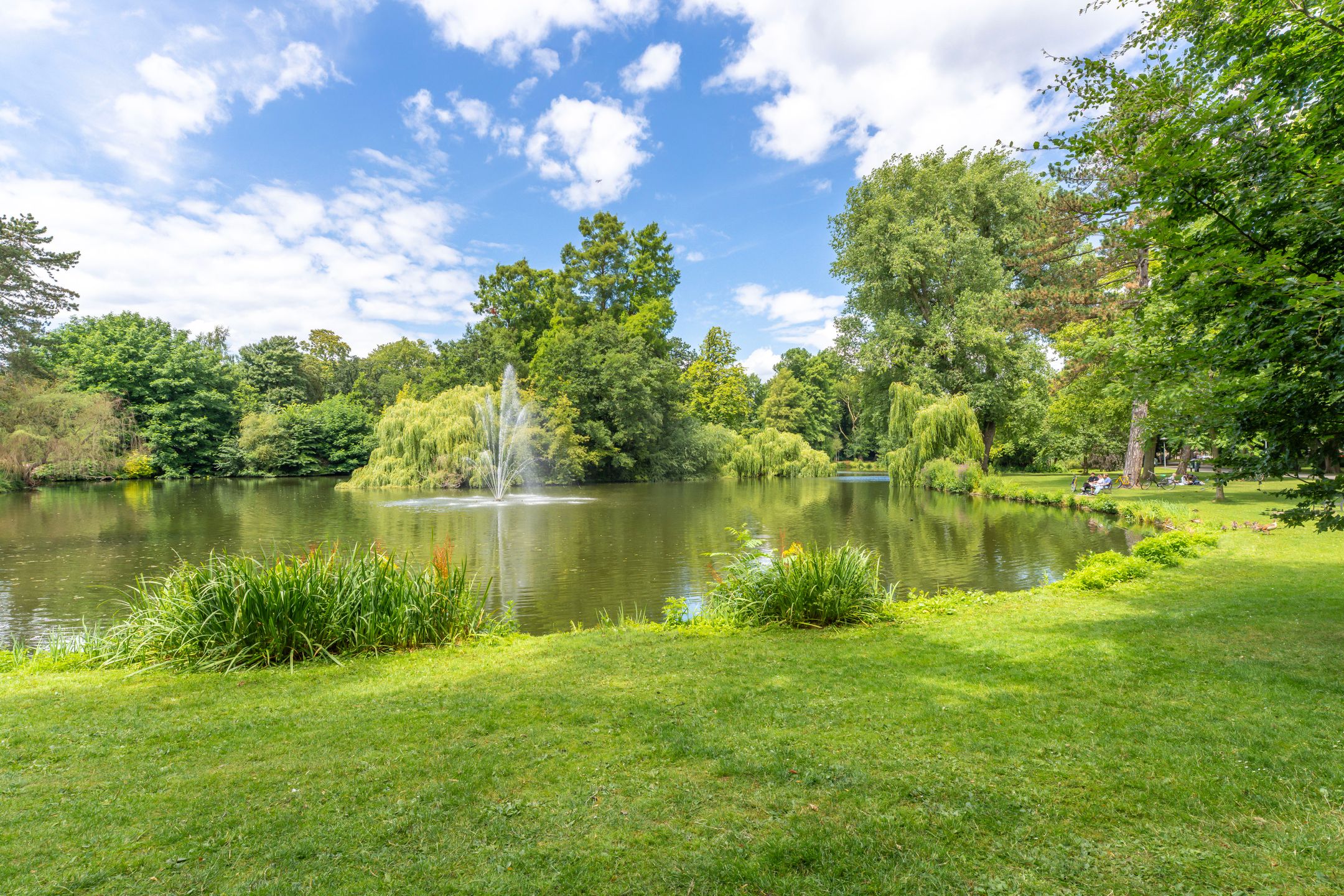 Photo 36 of Adriaen van Ostadelaan 86