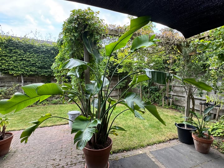 Foto 23 van Europasingel 10