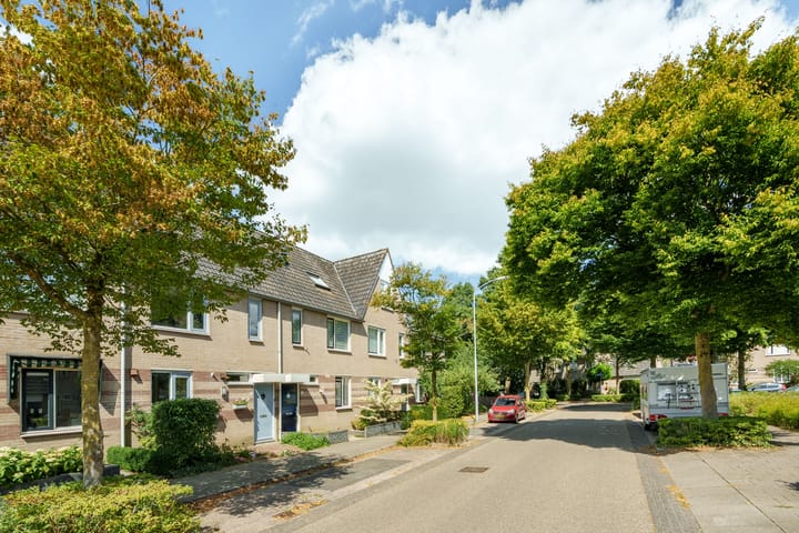 Foto 3 van Oudlaan 70