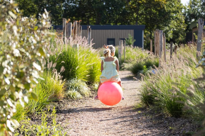 Photo 4 of Duynhof 3