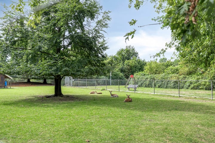 Foto 3 van Borgweg 80