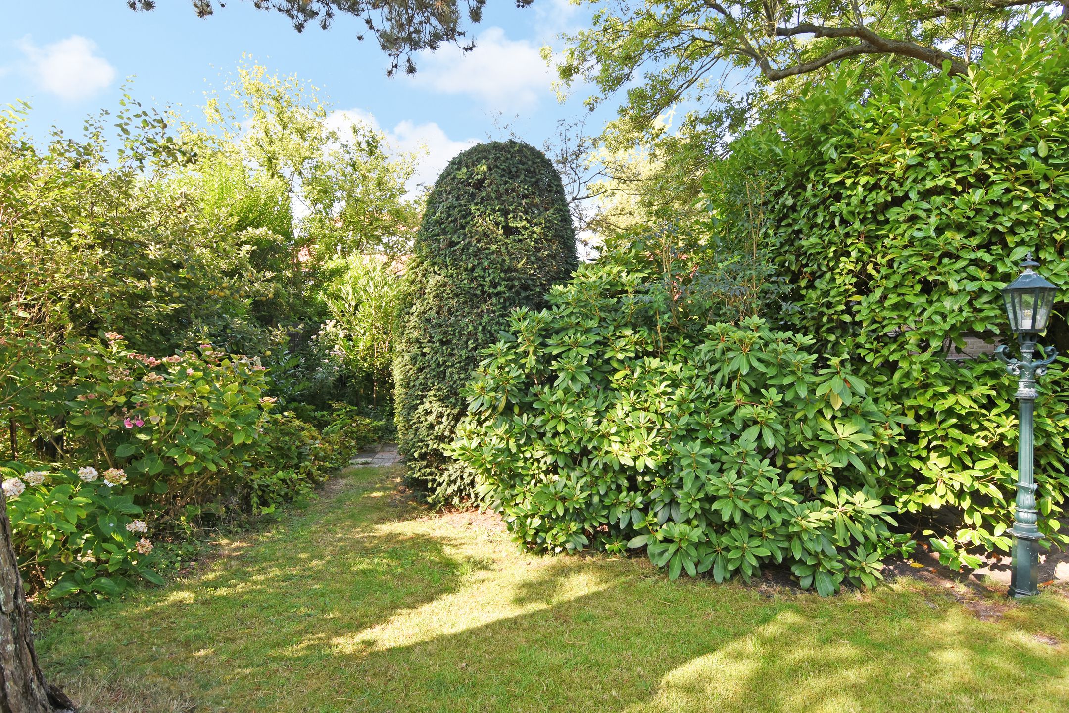 Photo 48 of Park Vronesteyn 31