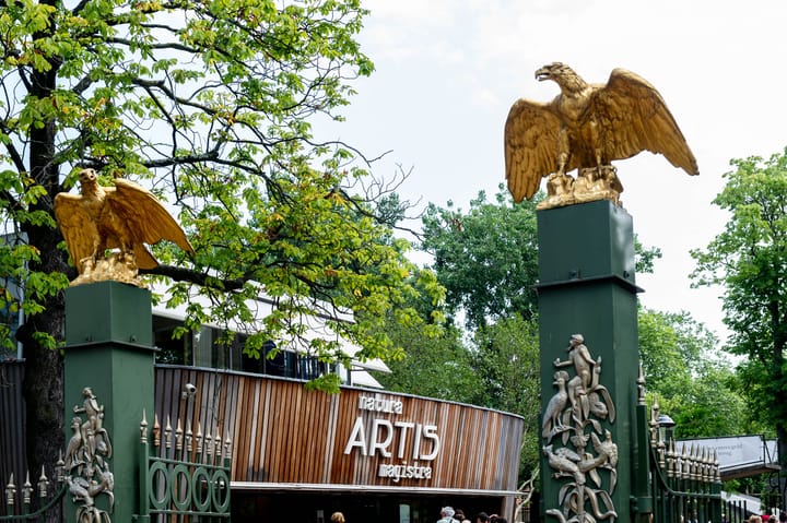 Foto 37 van Nieuwe Kerkstraat 108-3