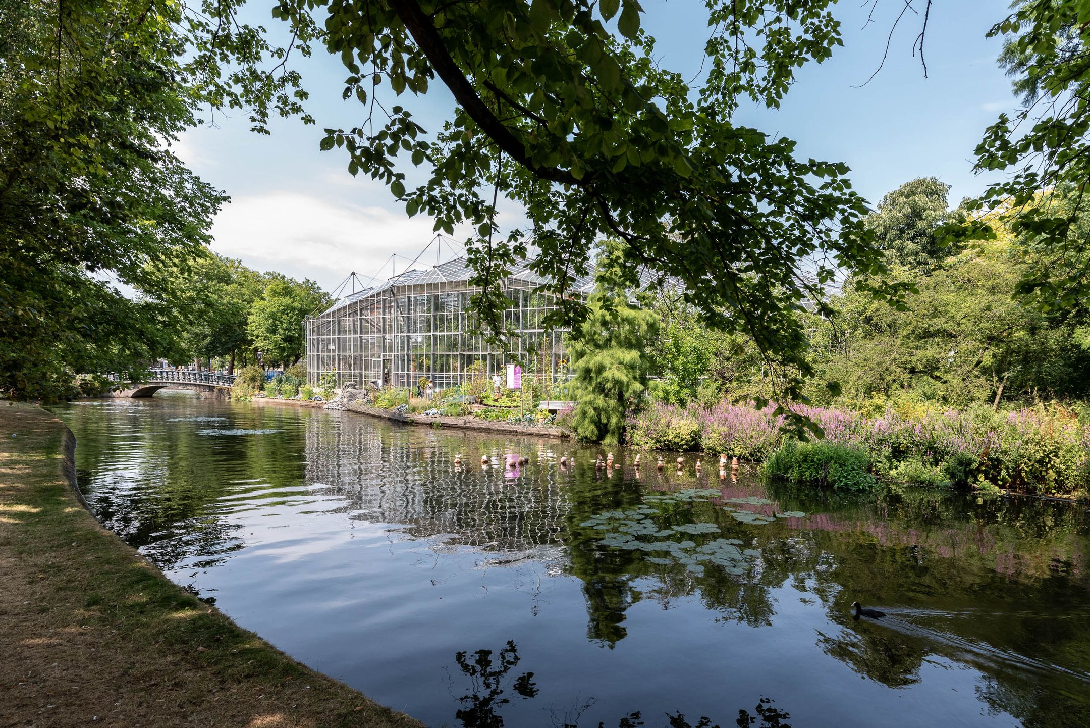 Foto 39 van Nieuwe Kerkstraat 108-3